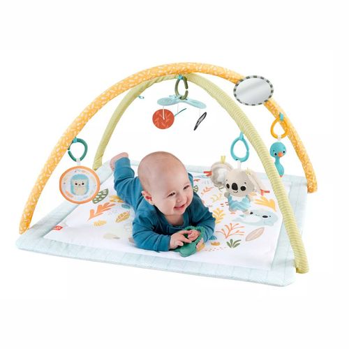 Gimnasio para bebé Fisher Price multicolor hrb15