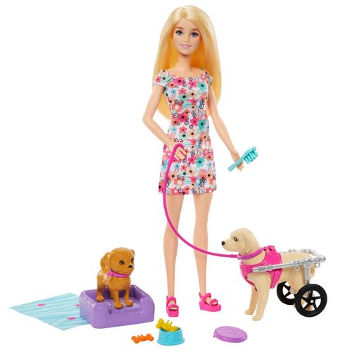 Muñeca Paseo Con Perrito En Silla De Ruedas Barbie Multicolor HTK37