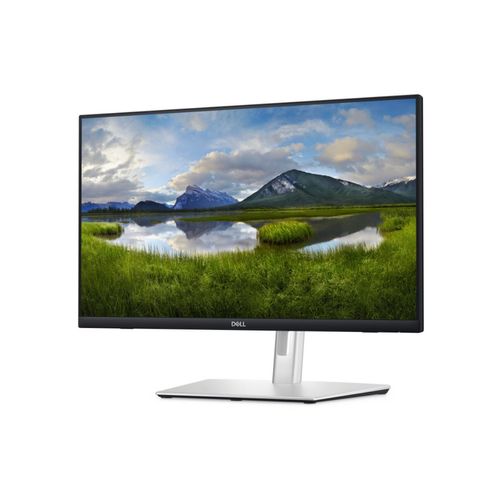 Pantalla Dell negro/plata p2424ht