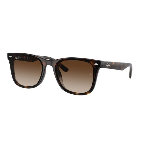 Lentes solares unisex Ray Ban square havana 0rb4420