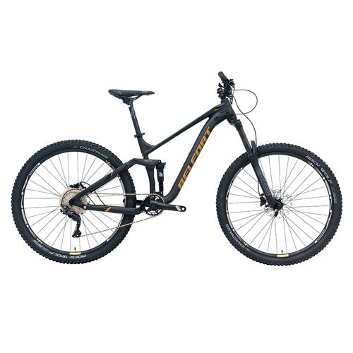 Bicicleta de montaña Belfort R29 10V. T19 negro cobre balam 35 silver 2024