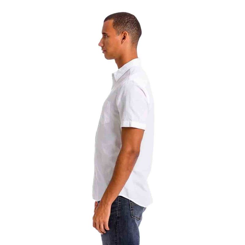 2955855_2