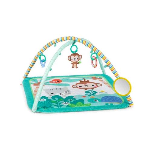 Gimnasio Bright Starts multicolor 12812