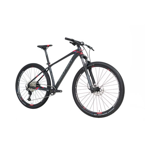 Bicicleta de montaña Belfort r29 t19 grafito zamna comp b1 2025