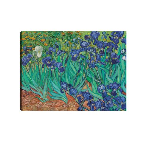 Cuadro decorativo Fine Art TJ 81 cm x 61 cm  c0500a000158802