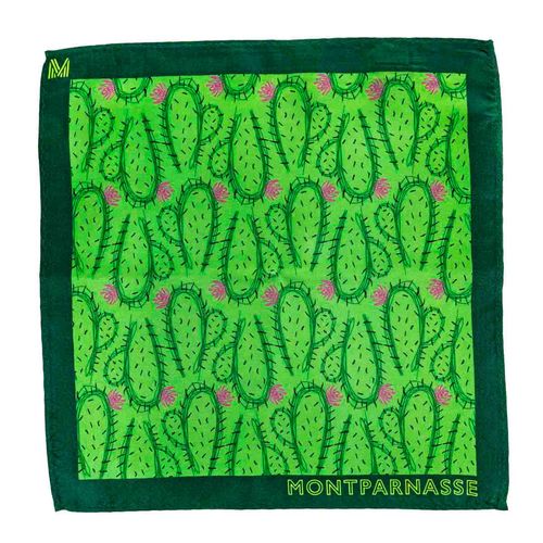 Pañuelo Montparnasse para caballero verde PANUELO SEDA FA