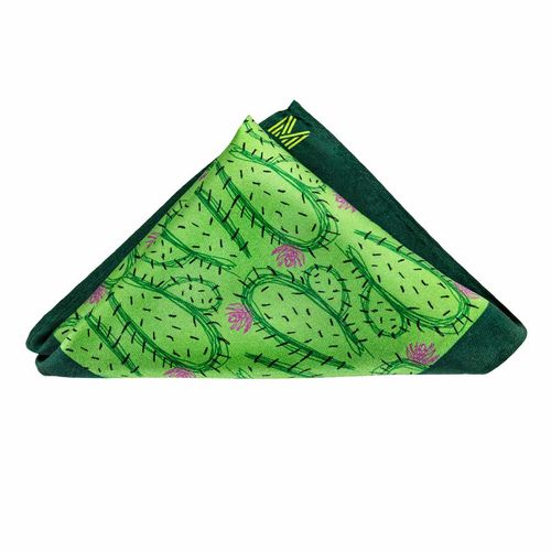 Pañuelo Montparnasse para caballero verde PANUELO SEDA FA