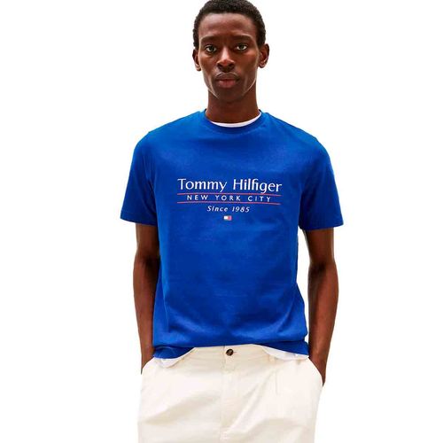 Playera Tommy Hilfiger azul para caballero MW0MW38621-D03