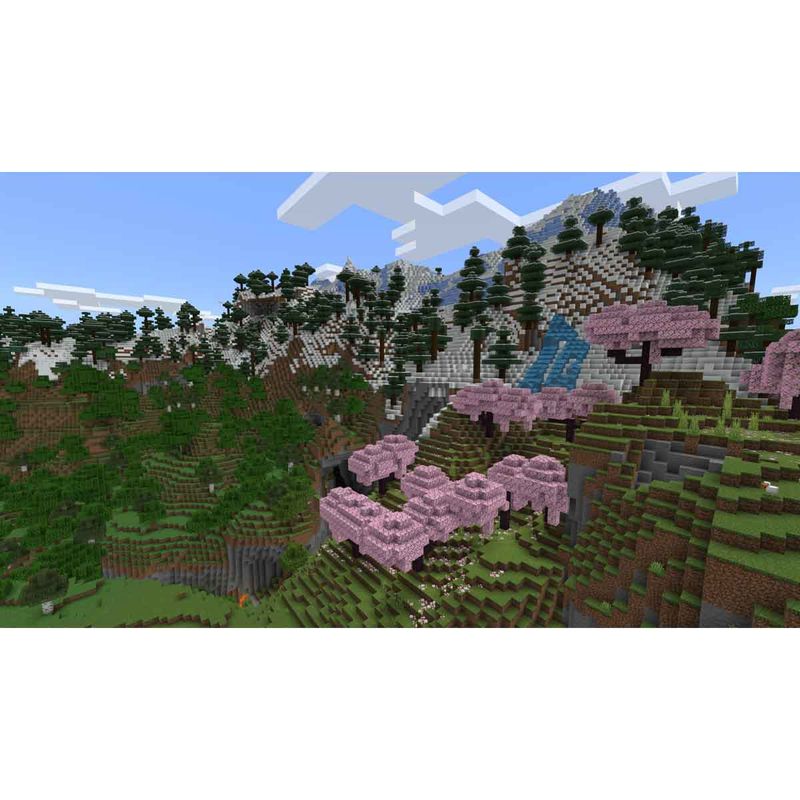 810136672695_5