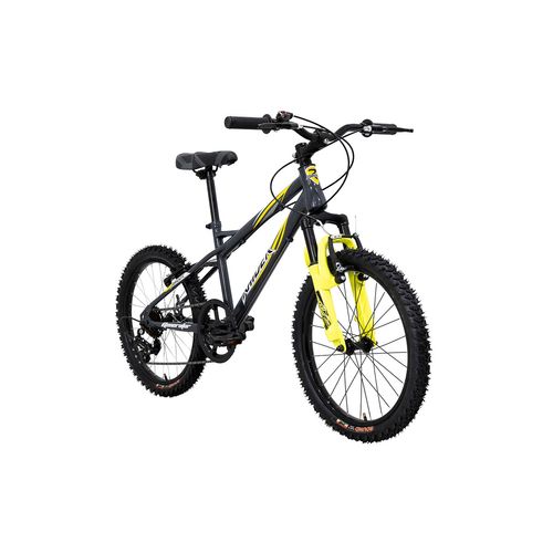 Bicicleta de montaña Raider rodada 20 gris generator