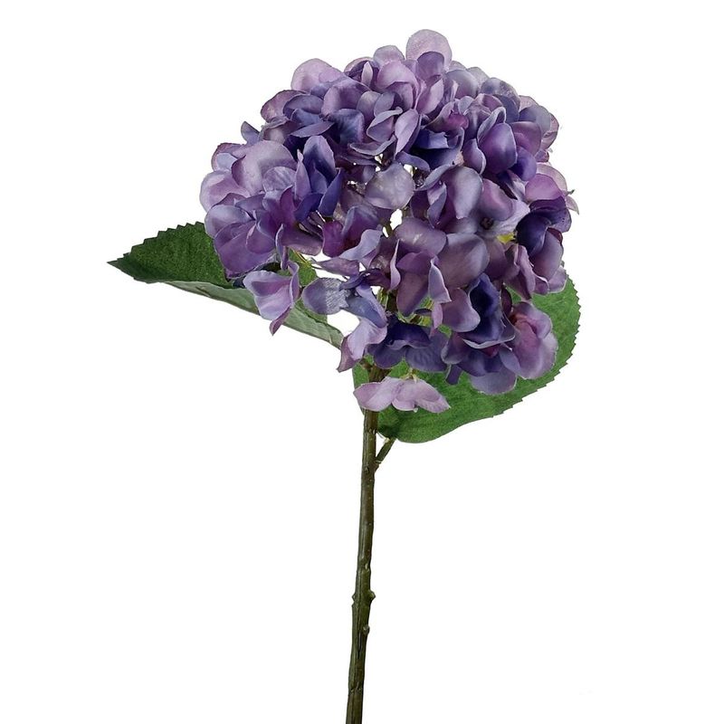 7450209113163_1