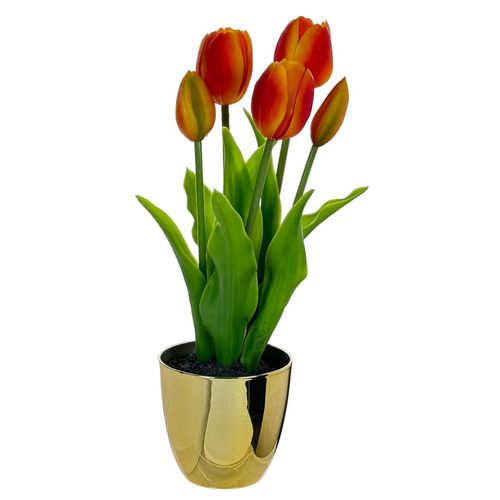 Tulipan Concepts Life 456-55393
