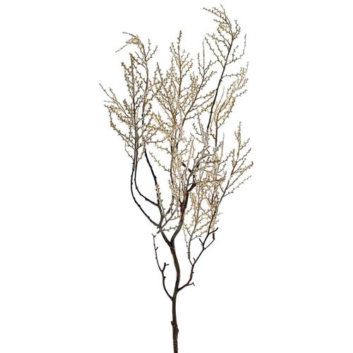 Rama decorativo Concepts Life 420-5910015