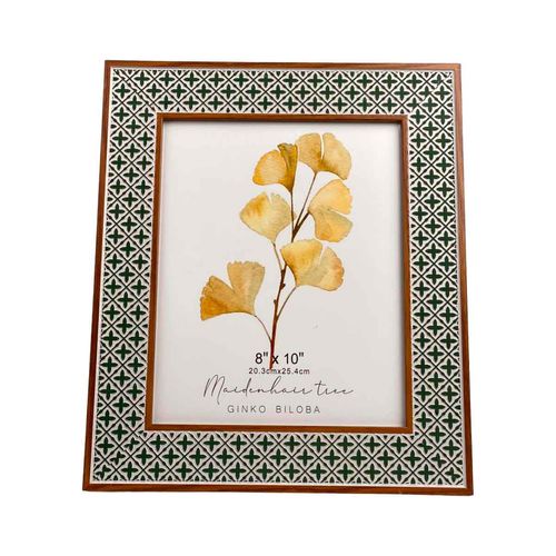 Portaretrato Concepts Life 420-5610030