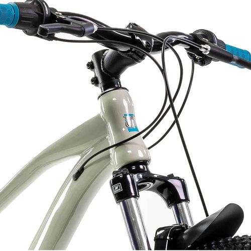 Bicicleta Mercurio de montaña gris r21 301082