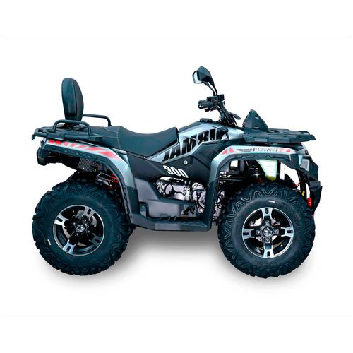 Cuatrimoto automática BDS gris jambo 300 CC 2026