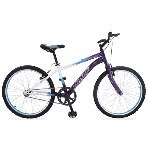 Bicicleta Montaña Benotto R24 Acero 1V. WOLF