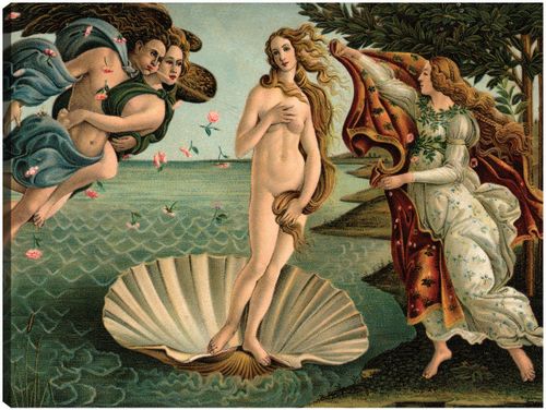 Cuadro decorativo Fine art tj 81 x 61 cm c0500a000143334