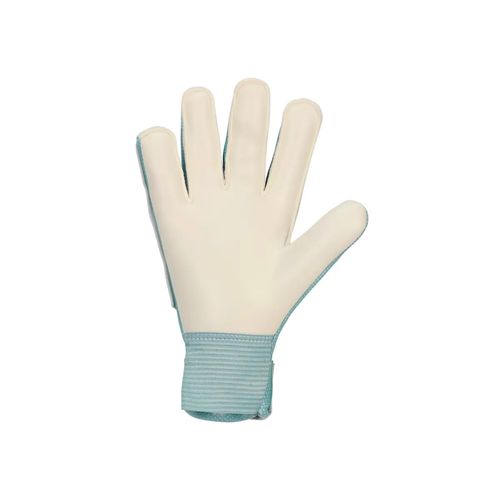 Guantes de portero Nike multicolor HQ0258395