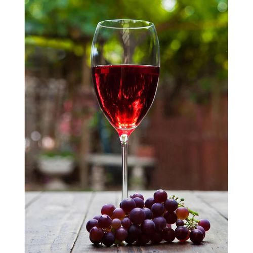 Vino tinto Casa Madero merlot 750 ml