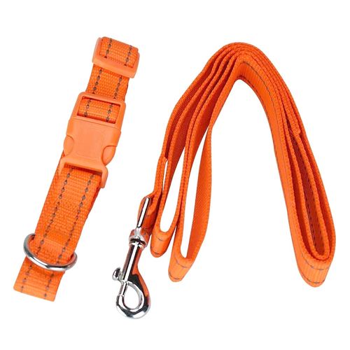 Correa Para Perro Fancy Pets Naranja FL8711