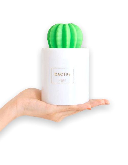 Difusor y Humidificador Gadgets & Fun Cactus Blanco