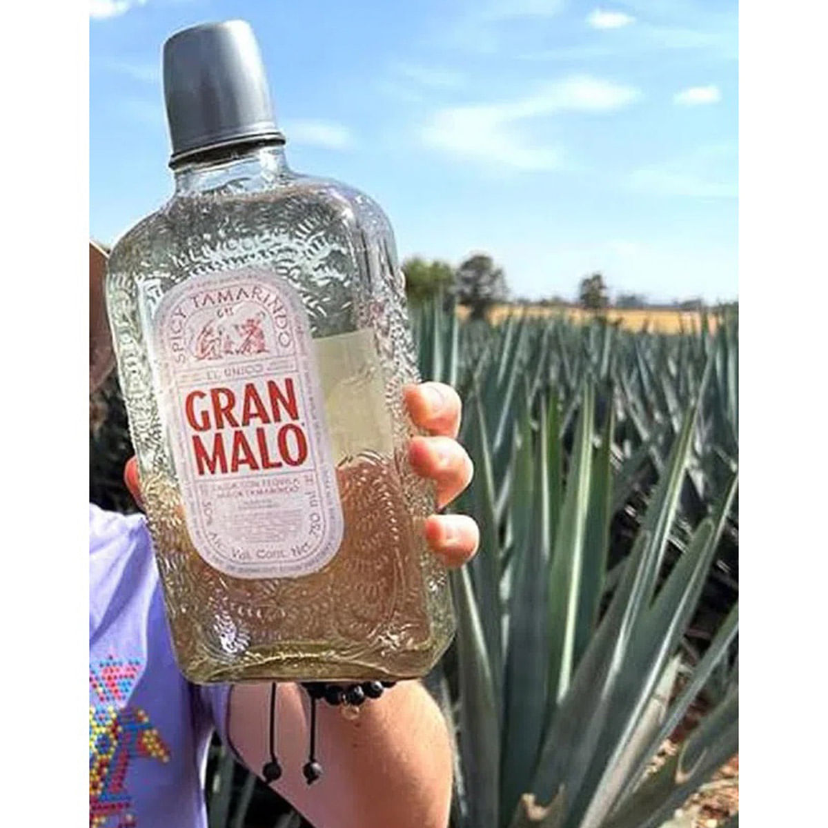 Licor De Tequila Gran Malo Tamarindo 750ml 10249 La Marina