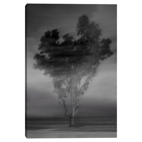 Cuadro decorativo Fine Art TJ 61cm x 91cm ncb2284