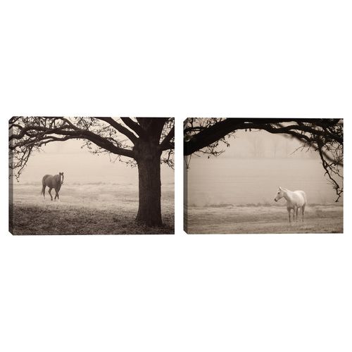 Cuadro decorativo Fine Art TJ 38cm x 51cm sc1800a000000008