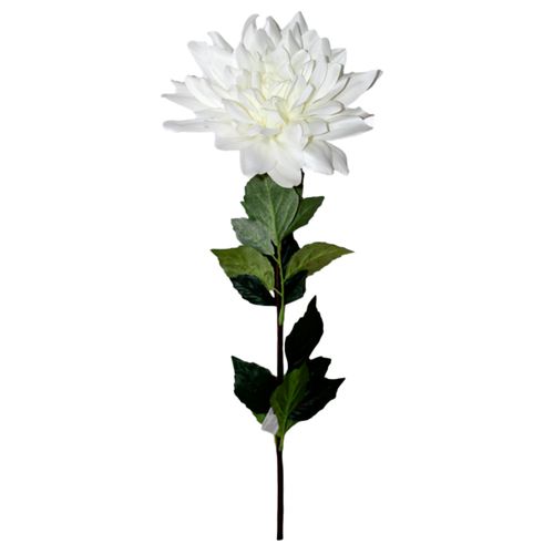 Flores Rosedal dahlia jumbo x 1 white a2706