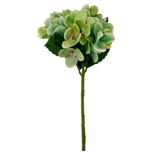 Flores Rosedal vara hortensia green 201910012