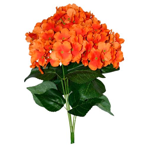 Flores Rosedal Hortensia x 5 Orange A2978