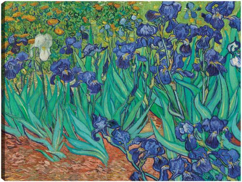 Cuadro decorativo Fine Art TJ 109 cm x 81 cm c0600a000158802