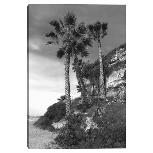 Cuadro decorativo Fine Art TJ 61cm x 91cm ncb2271