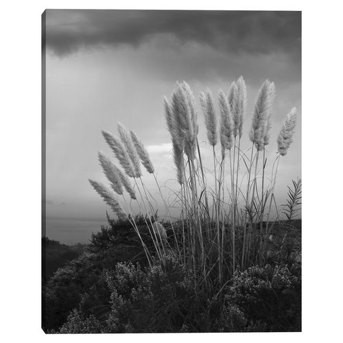 Cuadro decorativo Fine Art TJ 56cm x 71cm ncf2515