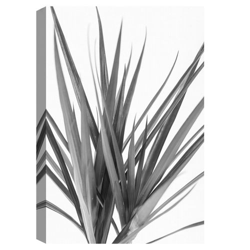 Cuadro decorativo Fine Art TJ 41cm x 51cm nch034343
