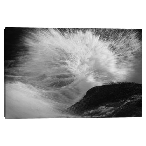 Cuadro decorativo Fine Art TJ 61cm x 91cm ncb2281