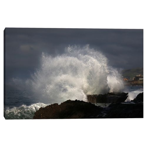 Cuadro decorativo Fine Art TJ 61cm x 91cm ncb2274