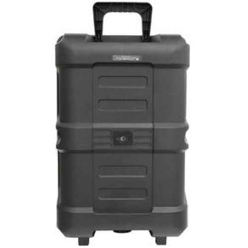 Bafle amplificado Fussion 12"30000w pbs-12swan