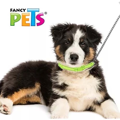 Collar para perro Fancy Pets fl8703