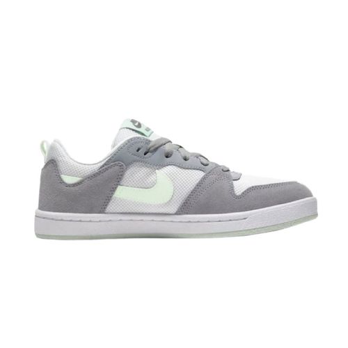 Tenis para Caballero Nike Alleyoop SB Grises CQ0369 002