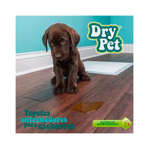 Tapete entrenador para perro Drypet multicolor fl7184