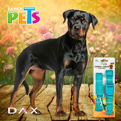 Collar para perro grande Fancy Pets multicolor fl8712