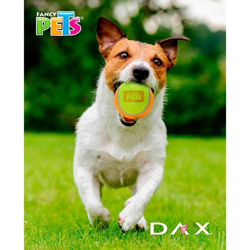 Juguete para perro Fancy Pets multicolor fl7157