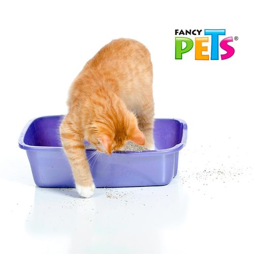 Arena para gato Fancy Pets gris fl3932