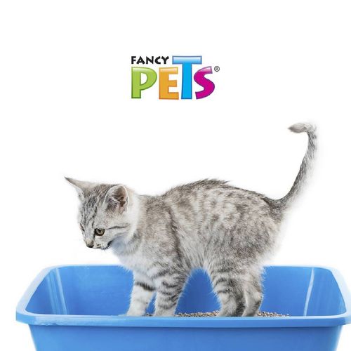 Arena Para Gato Fancy Pets Varios FL3933