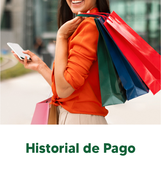 Historial de pago